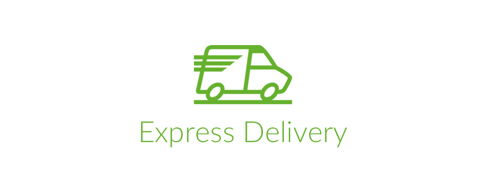 Introducing Express Delivery